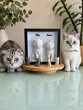 Pets Personalizados