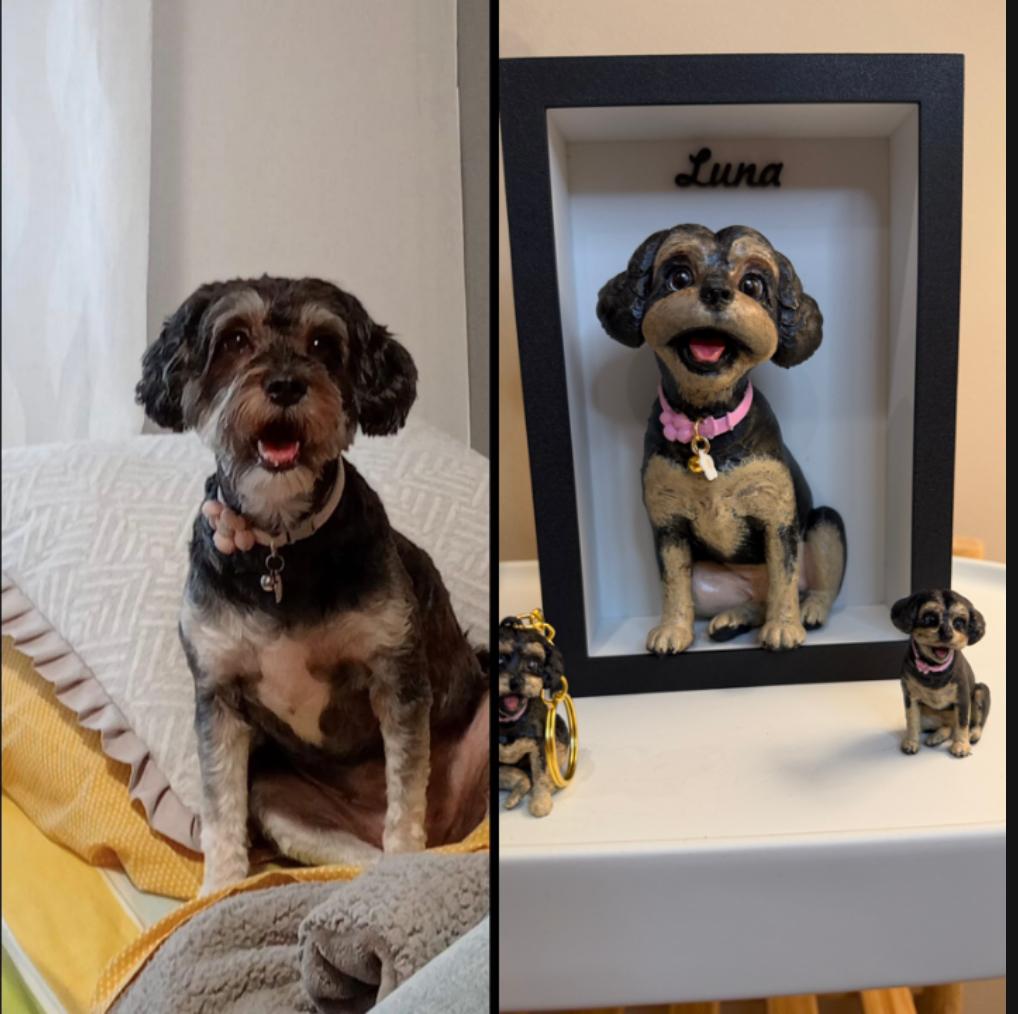 Pet Personalizado pintado à mão
