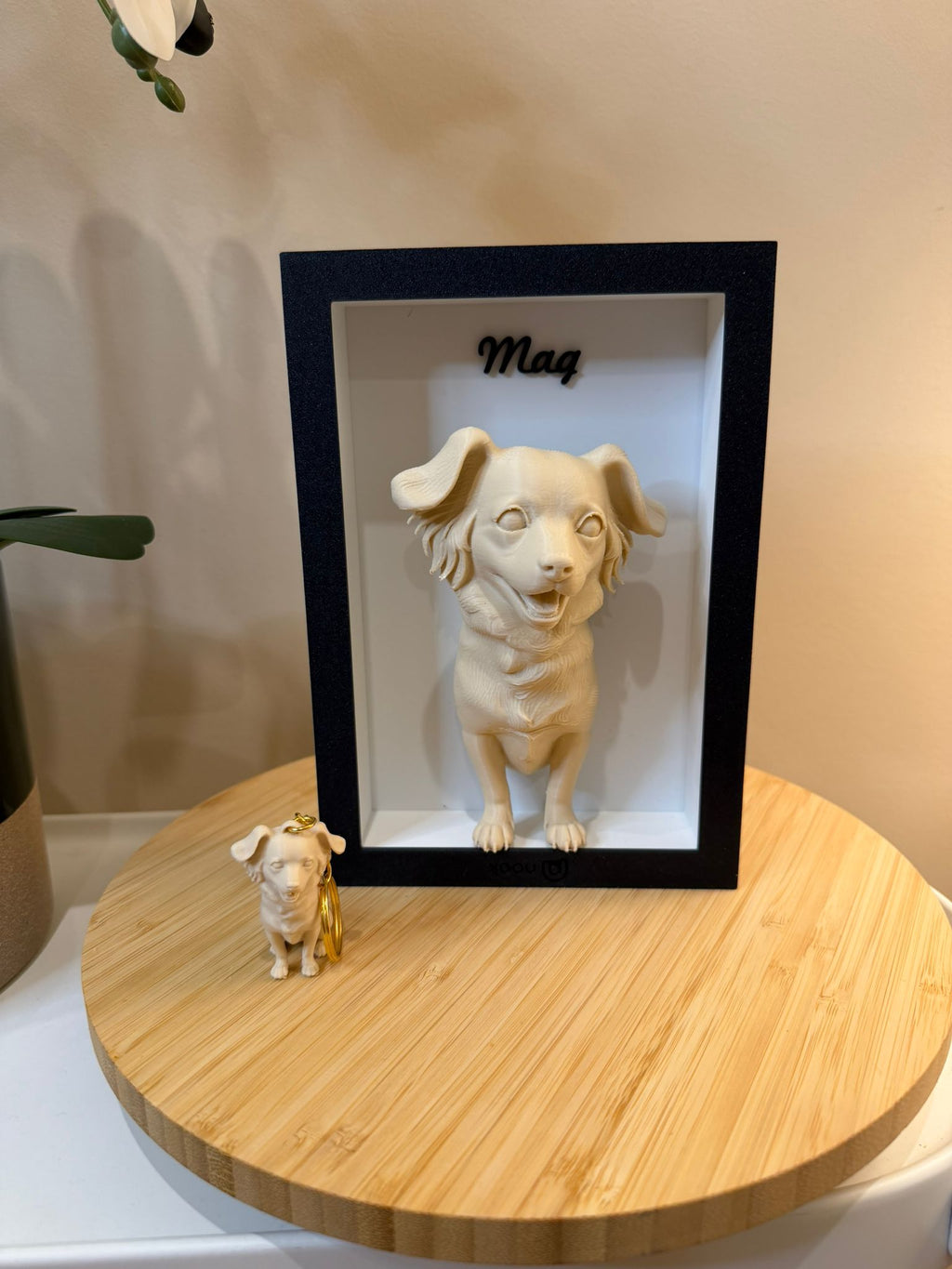Pets Personalizados