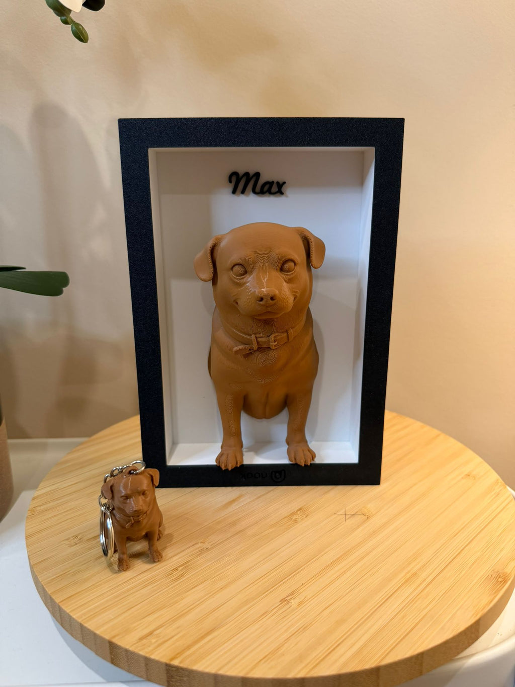 Pets Personalizados