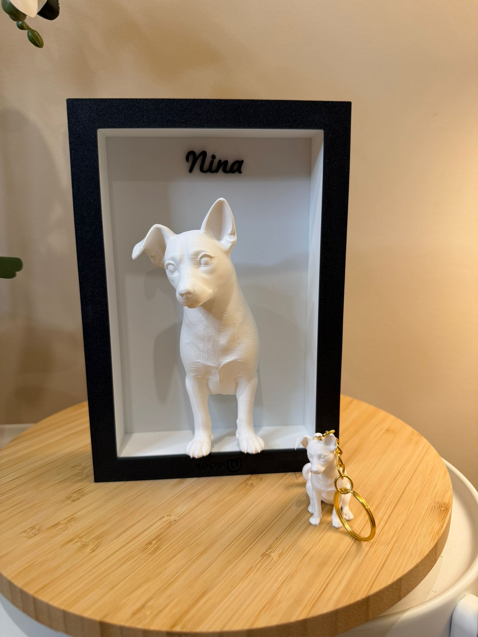 Pets Personalizados