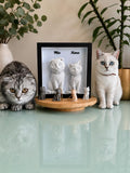 Pet Personalizado